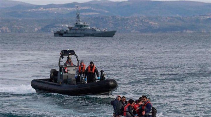 «الذئاب الداعشية»