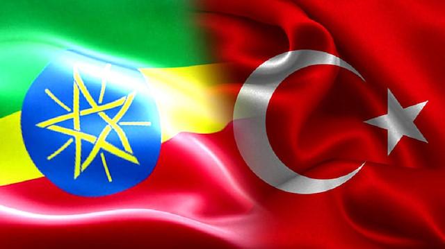 أردوغان وآبي أحمد