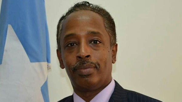 بتقارير كاذبة.. قطر