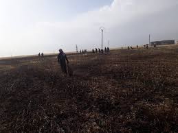 سوريا.. حرائق في