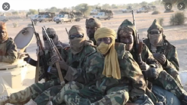 جيشا تشاد ونيجيريا