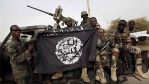 «داعش» في موزمبيق..