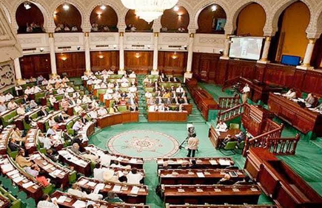  أصداء تصريحات «السيسي»