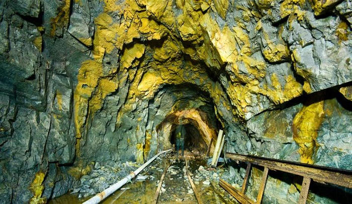 فنزويلا وإيران..