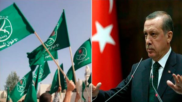 دجال يقود القطيع..