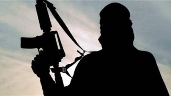 تعاون «السلفية الجهادية»