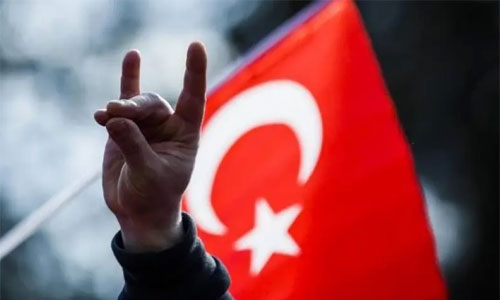  الذئاب الرمادية..