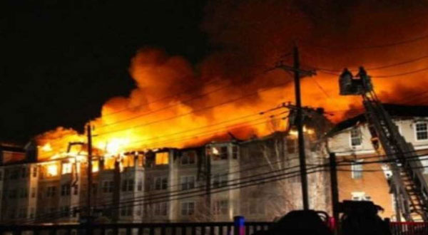 حصاد 2020.. التطرف