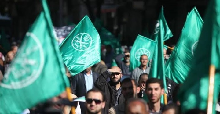 مملكة السم والعسل..