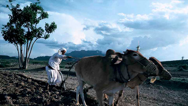 ضريبة الحياة في اليمن..