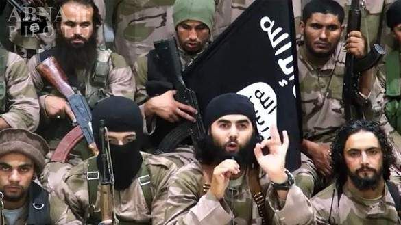 البوليساريو والإرهابيون..