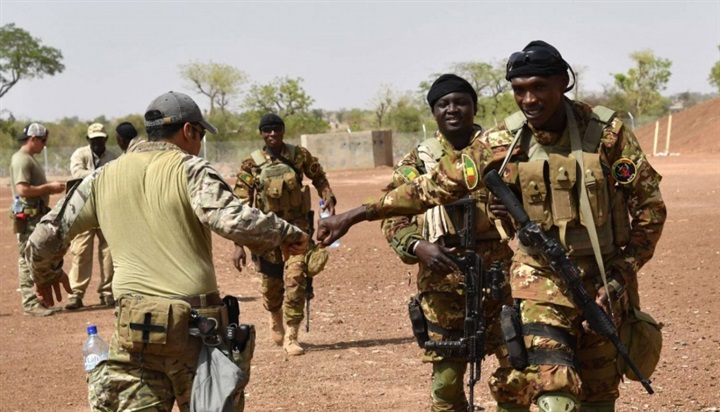  تاكوبا وبرخان..