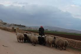 هربًا من الموت جوعًا.