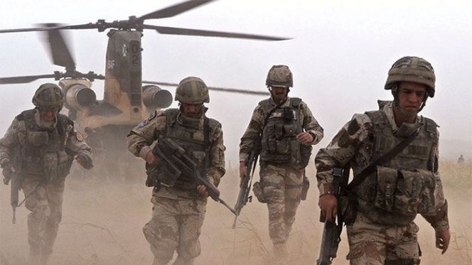 أفريكان ليون.. أمريكا