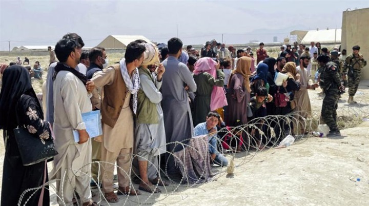 البرد والمجاعة..