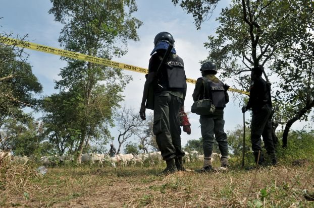 طموحات النيجر نحو