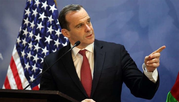 الانتخابات والعائدات